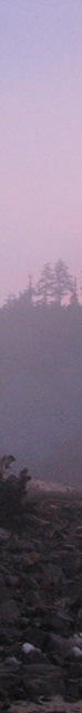 Left Banner