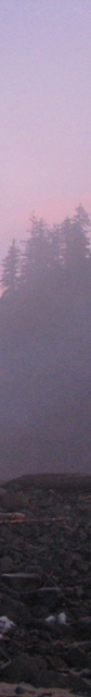 Right Banner