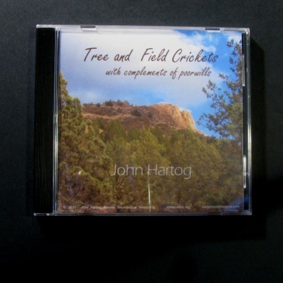 Cricket CD album art, front cover. Photo of Cricket CD album art, front cover.