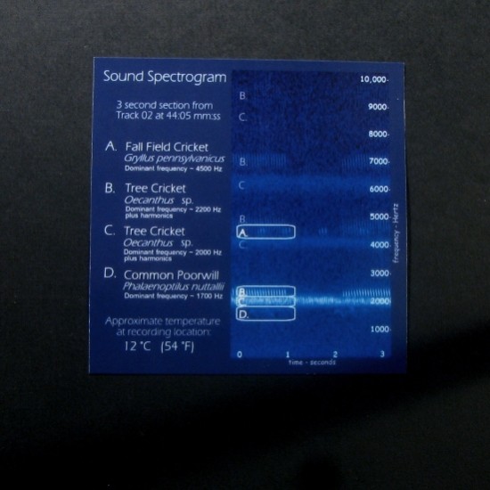 Cricket CD album art, insert with image of spectrogram Cricket CD album art, insert with image of spectrogram