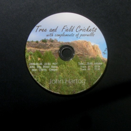 Cricket CD album art, disc Cricket CD album art, disc