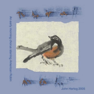 Robin MP3 Cover Art