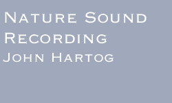 John Hartog Natural Soundscape Recording
