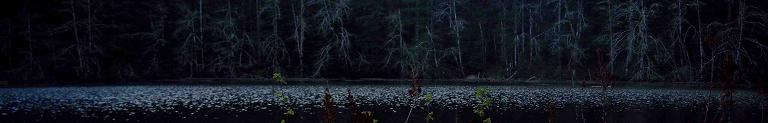 Photo: Lost Lake, April 2007